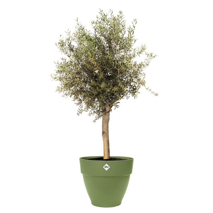 vibia campana 65cm moss green